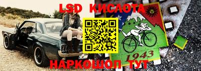 стаф Кингисепп