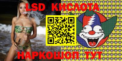стаф Кингисепп