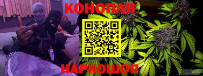 стаф Кингисепп