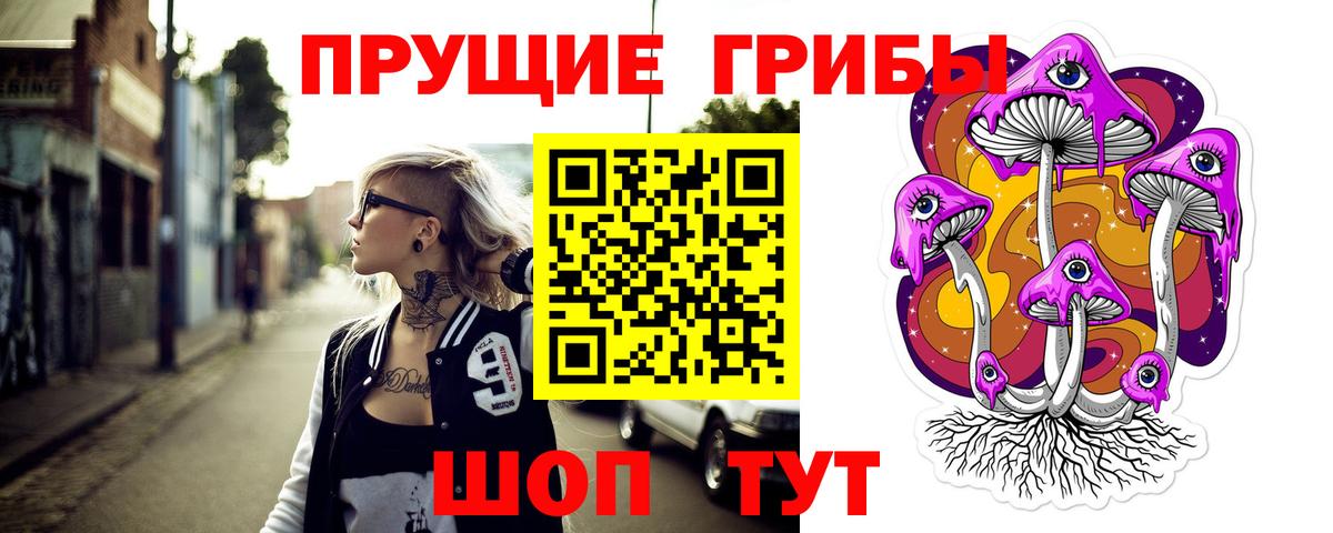 Котовск  Псилоцибиновые грибы Psilocybine cubensis  Вход с VPN 