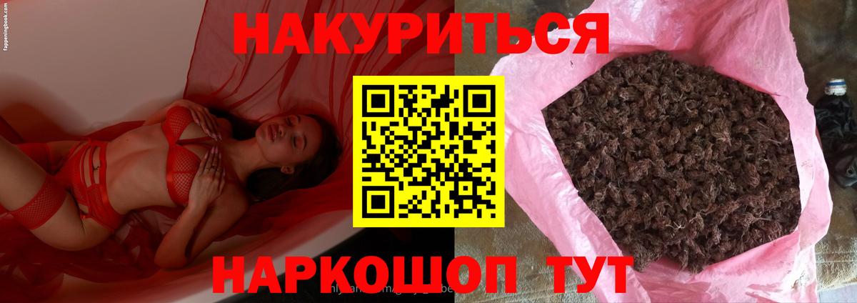 Котовск  Бошки марихуана тримм  Вход с VPN  Марихуана Bruce Banner  Бошки марихуана Bruce Banner 